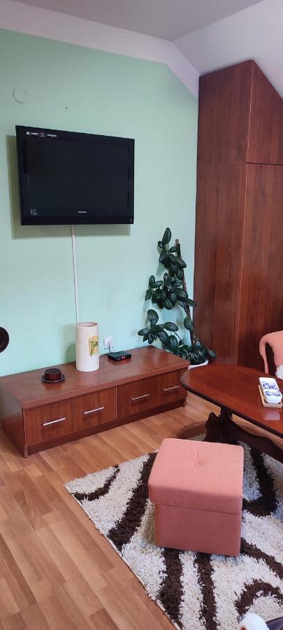Apartman Sara Pale - Ski centar Ravna planina Bagian luar foto