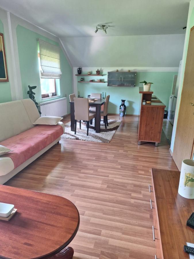 Apartman Sara Pale - Ski centar Ravna planina Bagian luar foto