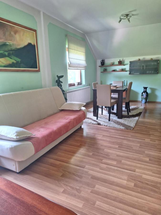 Apartman Sara Pale - Ski centar Ravna planina Bagian luar foto