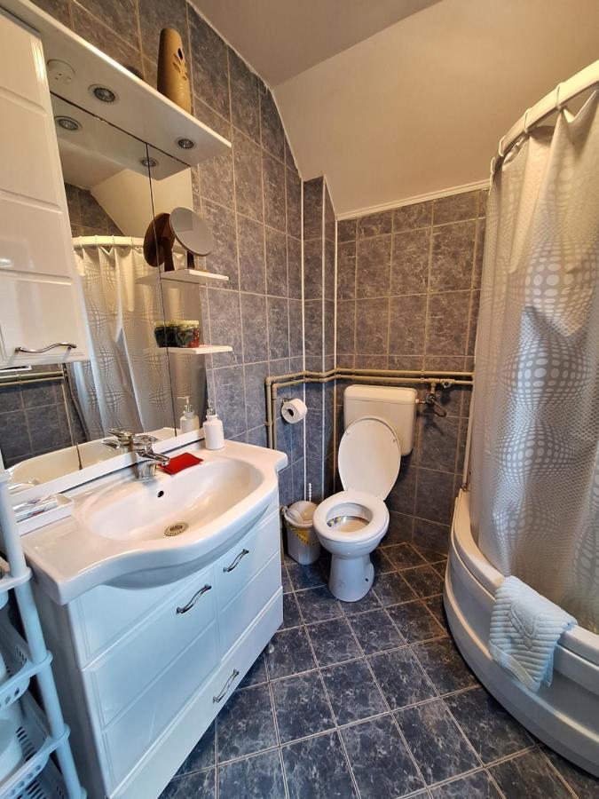 Apartman Sara Pale - Ski centar Ravna planina Bagian luar foto